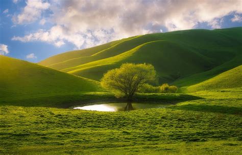 How to use Great Nature .